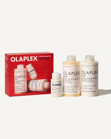 Holiday Total Hair Repair Set