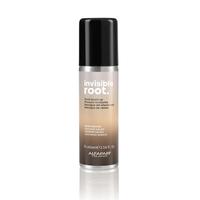 Invisible Root Color Spray  Touch Up - Warm Brown 75ml (Item #PF022415)