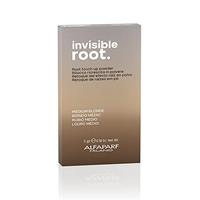 Invisible Root Touch Up Powder (Item #PF022421)