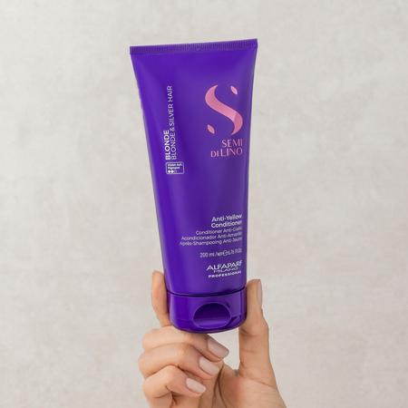 Blonde Anti-Yellow Conditioner