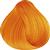 Truss Color Perfect Blond 0.34