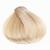 12/00 Ultra Blonde Natural Anya Permanent Vegan Hair Color 10.13