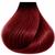 12/00 Ultra Blonde Natural Anya Permanent Vegan Hair Color 5/666