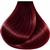 Vitalitys Art Amber Ash 9/21 100 Ml 5/68