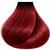 12/00 Ultra Blonde Natural Anya Permanent Vegan Hair Color 6.62