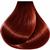 Vitalitys Art Amber Ash 9/21 100 Ml 6/64