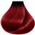 12/00 Ultra Blonde Natural Anya Permanent Vegan Hair Color 6/666