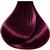 Vitalitys Art Amber Ash 9/21 100 Ml 6/88