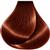 Vitalitys Art Amber Ash 9/21 100 Ml 7/64