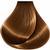 Vitalitys Art Amber Ash 9/21 100 Ml 7/9