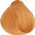 Truss Color Perfect Blond 9.34