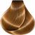 VITALITYS ART LIGHT MAHOGANY CHESTNUT 5/5 100 ML 99/00