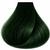 12/00 Ultra Blonde Natural Anya Permanent Vegan Hair Color myomgreen